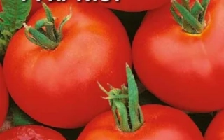 Пакет семян томата F1 Артист с изображением спелых плодов