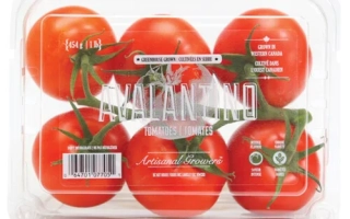 Авалантино