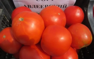 Авдеевский