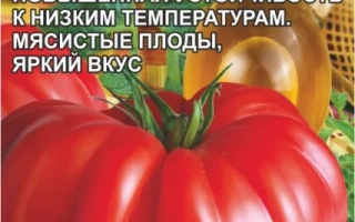 Пакет семян томата Августин с изображением красного помидора