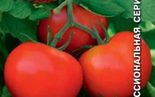 Пакет семян томата Ажур с изображением красных плодов