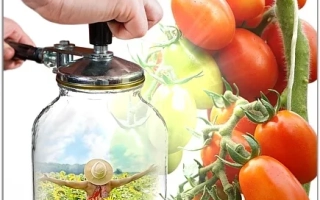 Осінній Спокій