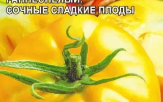 Пакет семян томата Бабушкин поцелуй