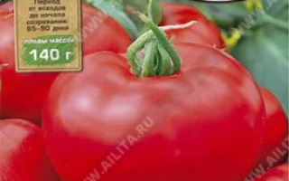 Пакет семян томата Багрянец F1 весом 140 г от бренда Элита