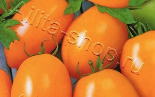 Пакет семян томата Банан Оранжевый