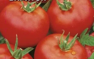 Пакет семян томата Баритон с изображением красных плодов