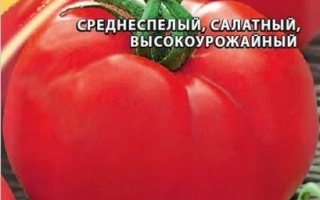 BARISHNYA-KRESTYANKA