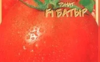 Пакет семян томата БАТЫР