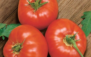 Белгородский