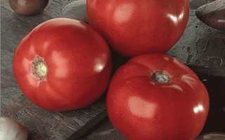 Томаты сорта Bella Rosa на деревянной доске - БЭЛЛА РОСА