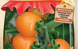 Бемби Золотой