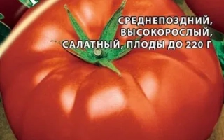 Пакет семян томата БИТЮГ с изображением спелых плодов