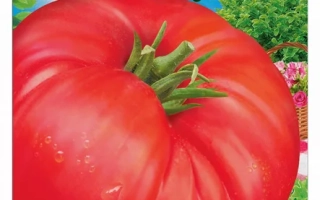 Большая Порция