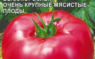 Пакет семян томата БРАВЫЙ ГЕНЕРАЛ с изображением красного томата
