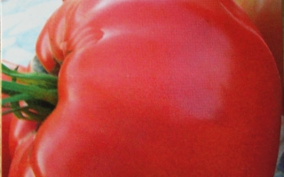 Пакет семян томата Бугай Розовый