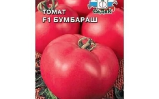 Пакет семян томата Бумбараш