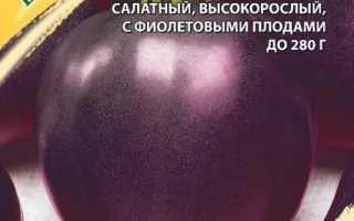 Бычье Сердце Фиолетовое