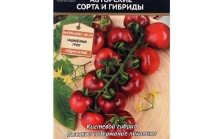 Черничный Блюз