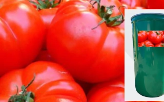 Чигиринський F1