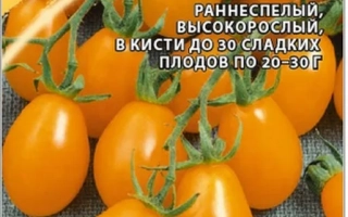 ЧИО-ЧИО-САН Оранжевый