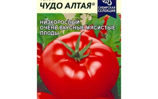 Пакет семян томата ЧУДО АЛТАЯ