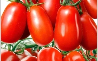 Пакет семян томата Дамские пальчики