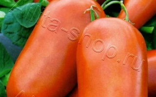 Дамський Угодник