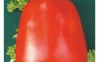 Пакет семян томата Дарёнка - Даренка