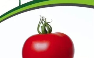 Дерзкий Франк