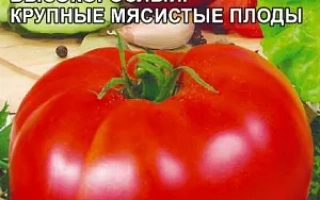 Пакет семян томата Добряк с изображением красного помидора