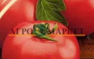 Пакет семян томата F1 Доцент