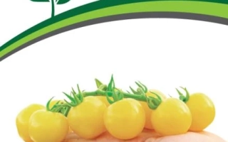 Доктор Кэролин