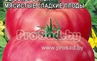 Пакет семян томата Дородный с изображением красных плодов