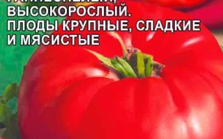 Пакет семян томата Дорогой Гость с изображением красных томатов