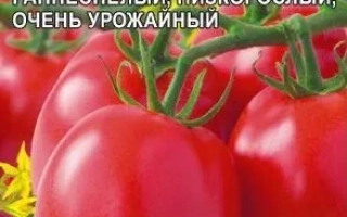 Пакет семян томата Дружья-Товарищи с изображением красных помидоров - ДРУЗЬЯ-ТОВАРИЩИ