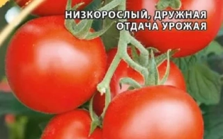 Пакет семян томата Г1 Дружок с изображением красных плодов