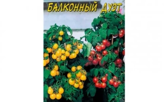 Пакет семян томата Балконный Дует с изображением кустов с плодами - ДУЭТ