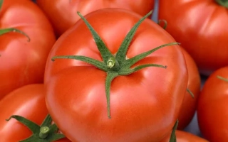 Экстрадена