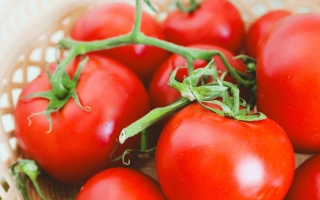 Красные помидоры на ветвях в плетёной корзине - ЭЛЕГИЯ