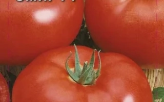 Пакет семян томата ЭМИР F1 с изображением красных плодов