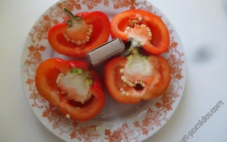 Срезанные томаты на тарелке с декоративным узором - Факир