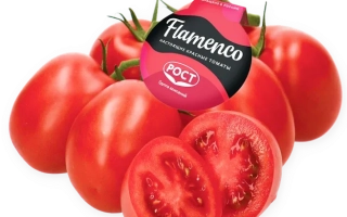 Томаты Flamenko с ярлыком бренда на переднем плане - Фламенко