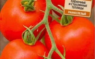 Пакет семян томата «Алый фрегат F1» с изображением спелых плодов