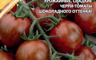 Горячий Шоколад