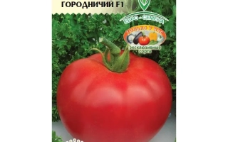 Городничий