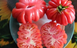 Грибное Лукошко