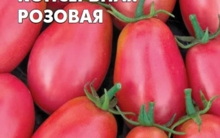 Груша Консервна