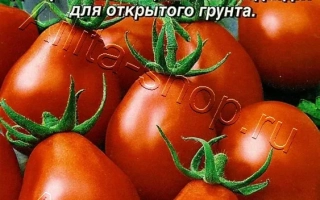 Груша Червона