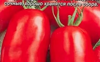 Пакет семян томата Гулливер с изображением красных плодов