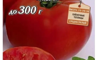 Харкивянин F1